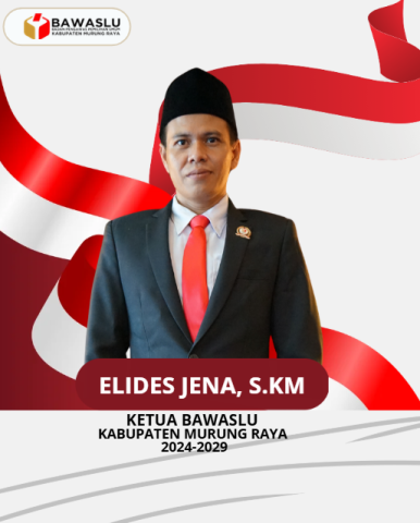 ELIDES UPDATE 
